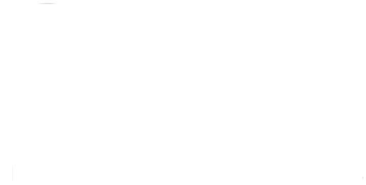 Passion İK logo
